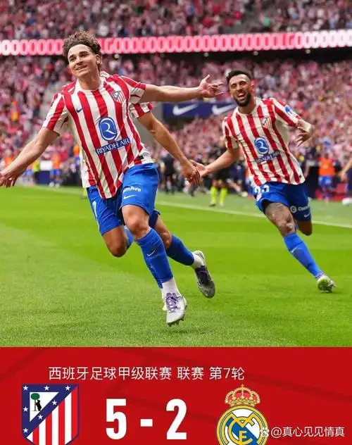 雨燕体育直播在线观看